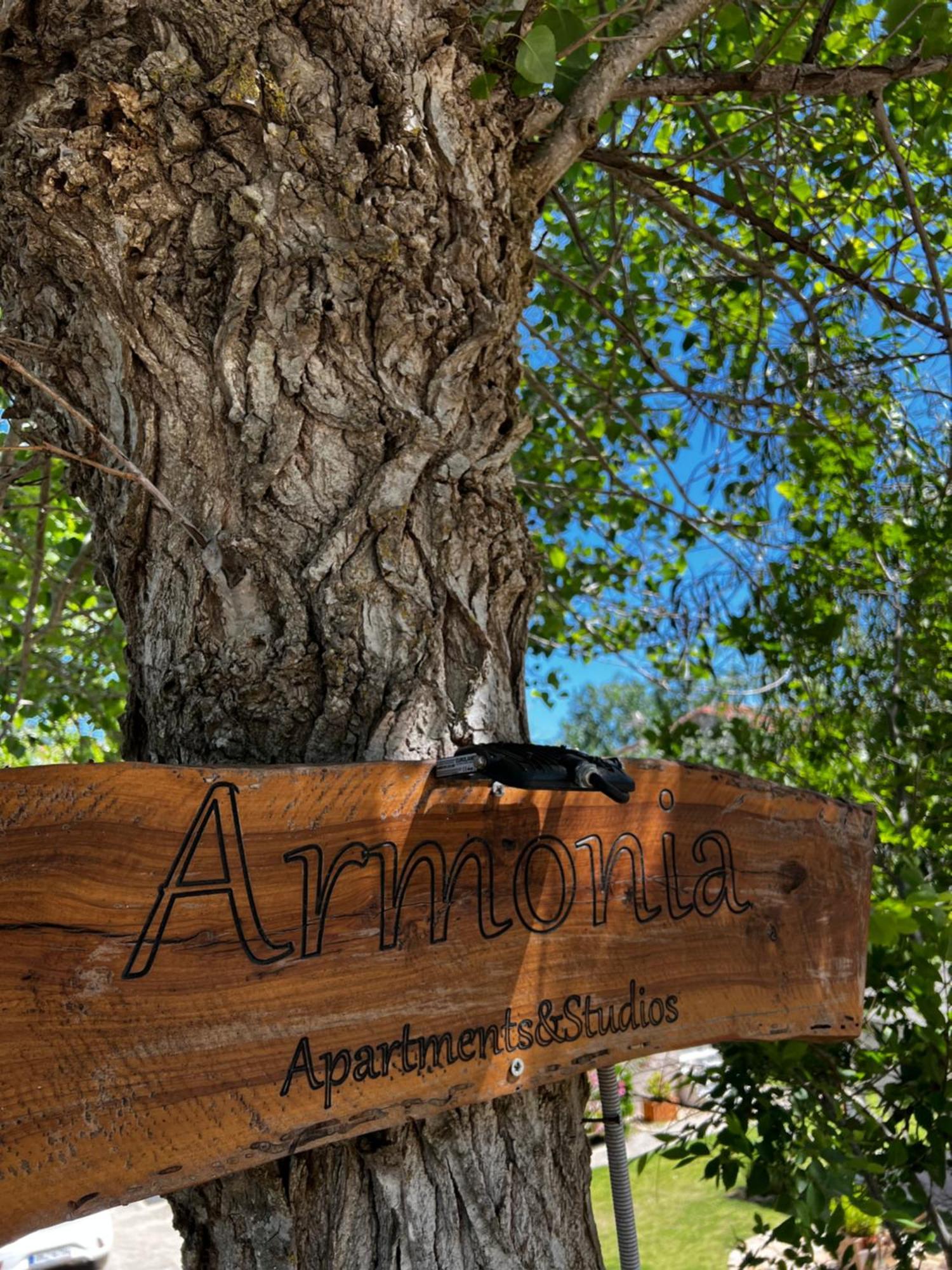 Perivólion Armonia Apartments & Studios מראה חיצוני תמונה